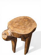 Naga Side Table – handcrafted vintage Indian decor from Jodhpur, Rajasthan