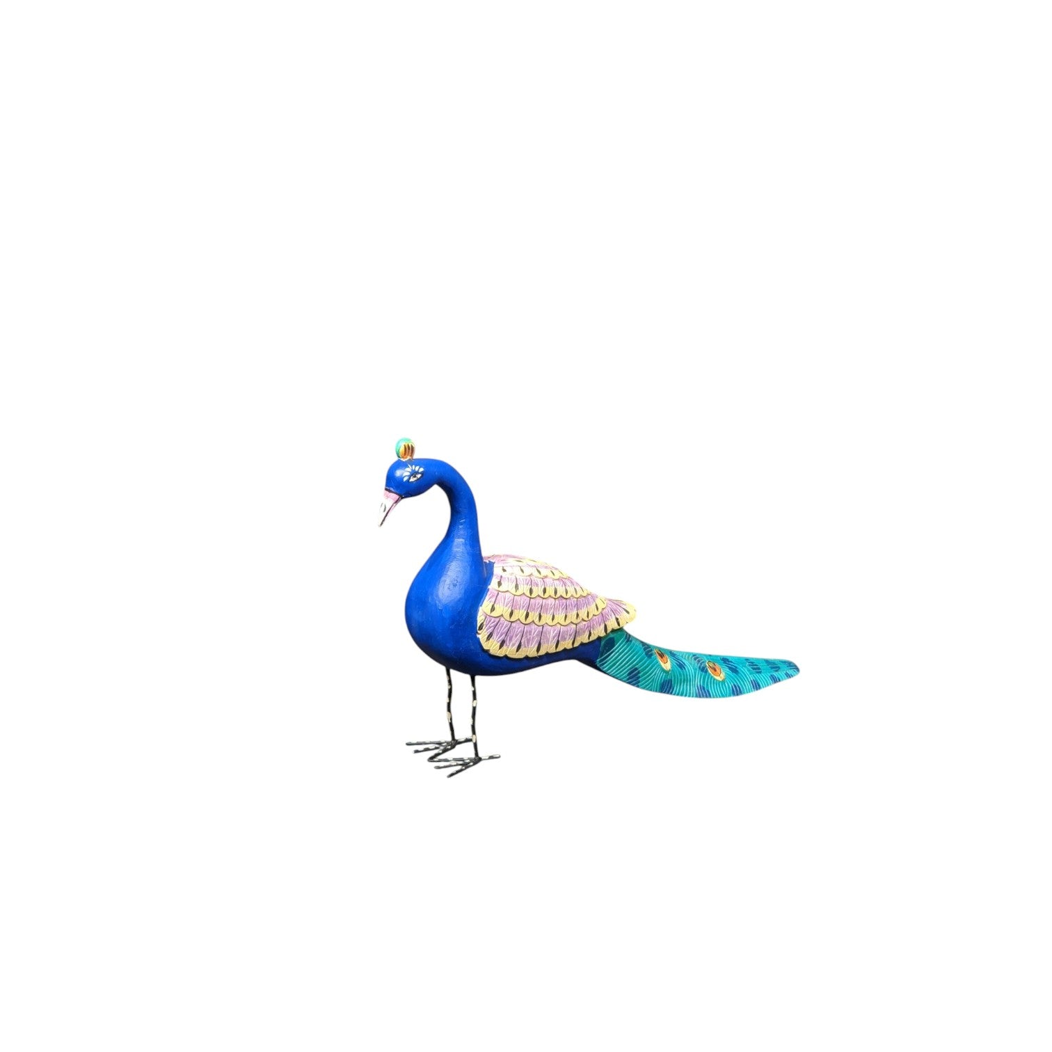 Majestic Blue Plume