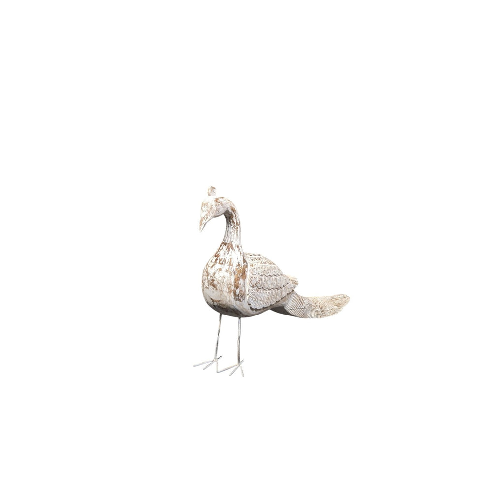 wdn old peacock with indian handicraft 