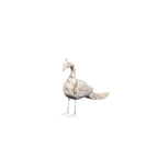 wdn old peacock with indian handicraft 