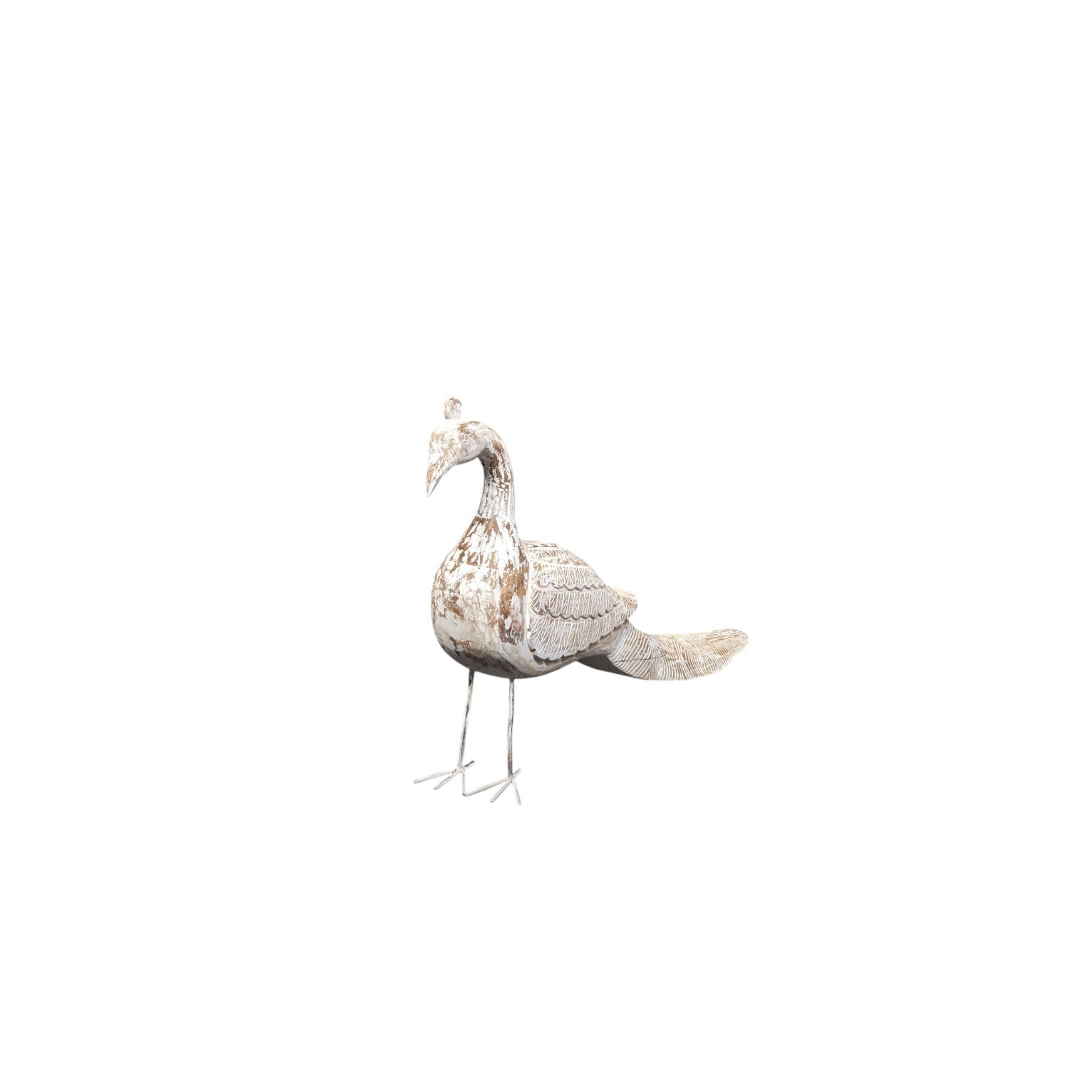 wdn old peacock with indian handicraft 