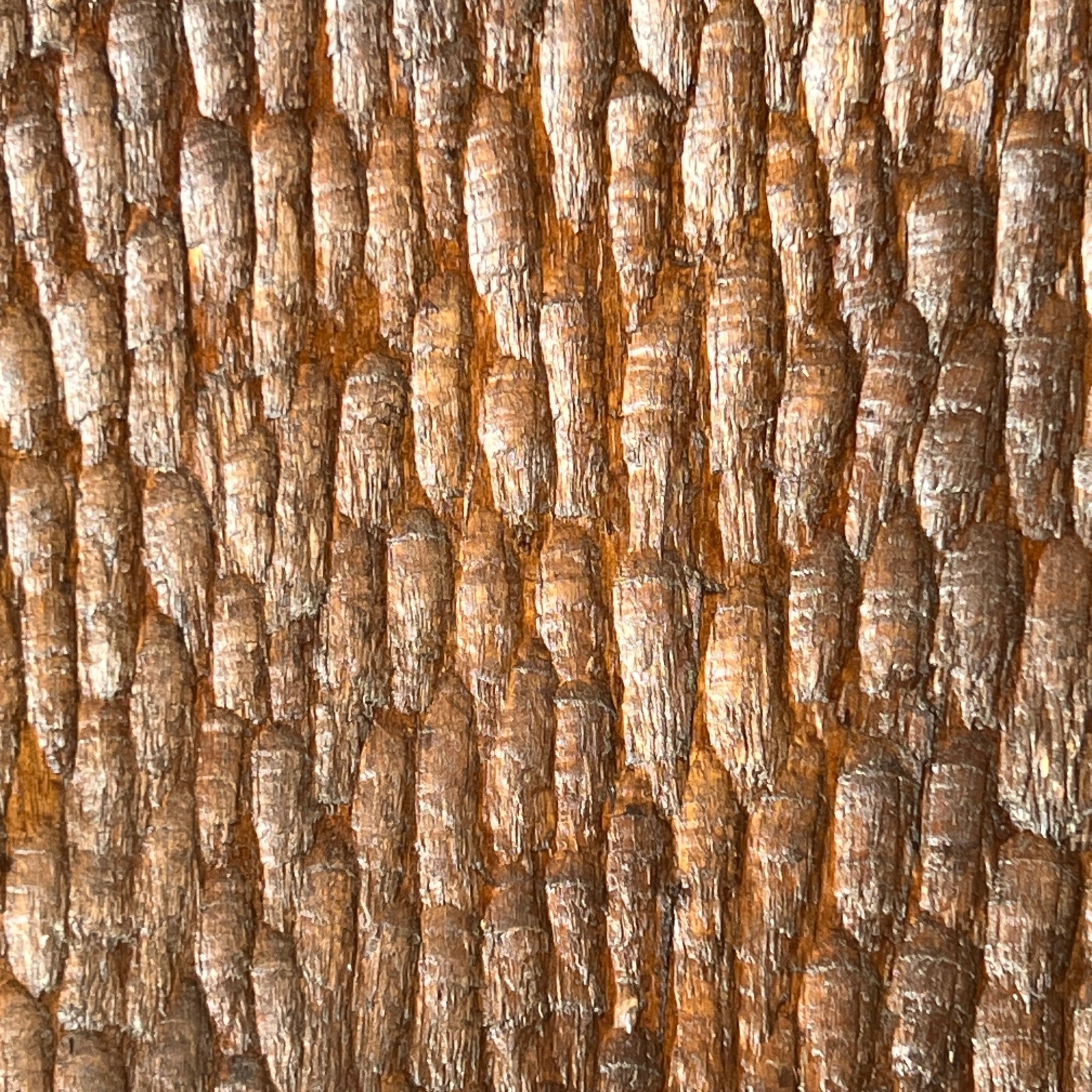Handcrafted Naga Wooden  Panel