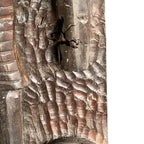 Premium Handcrafted Naga Wooden Panel