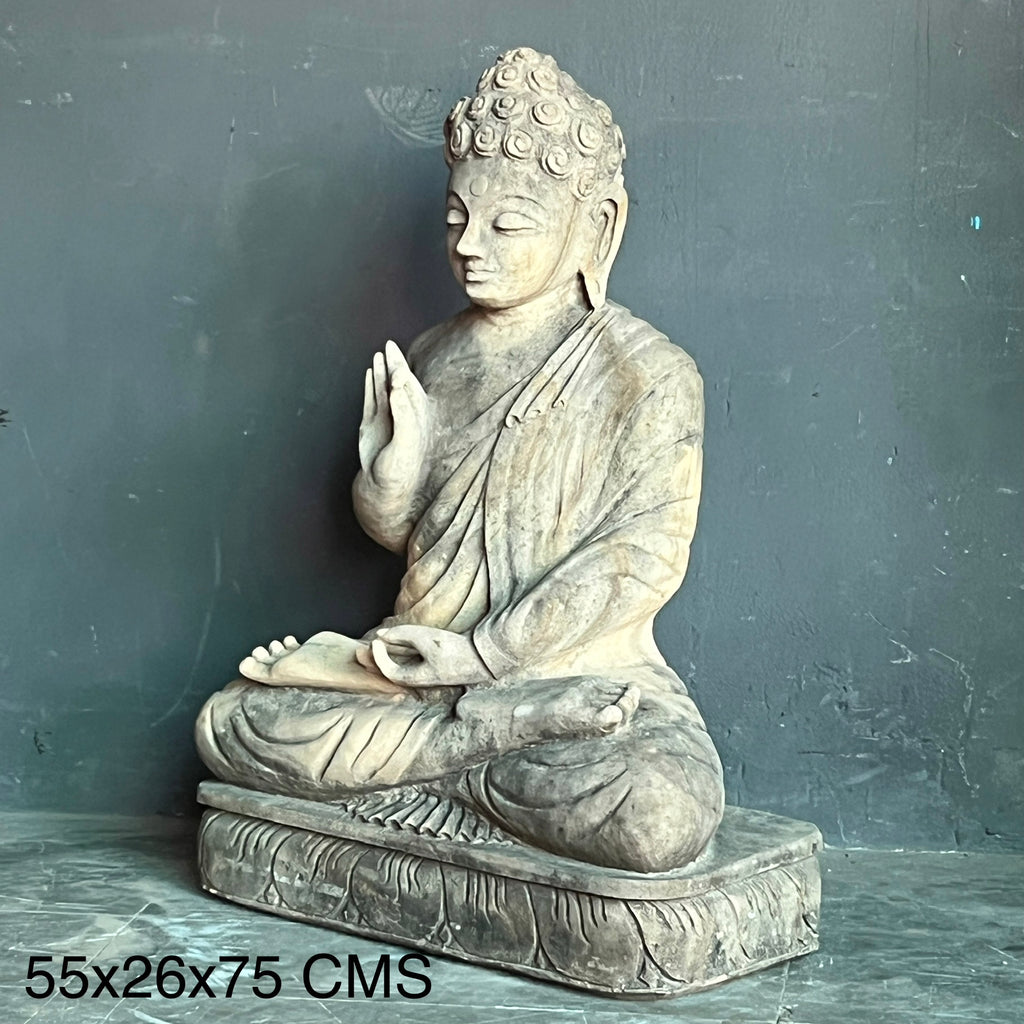 Divine Meditative Buddha