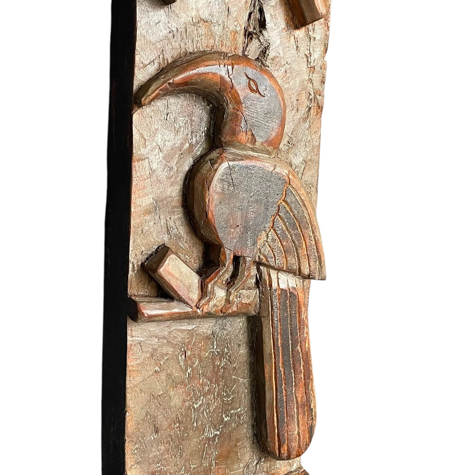 Ethnic Naga Panel