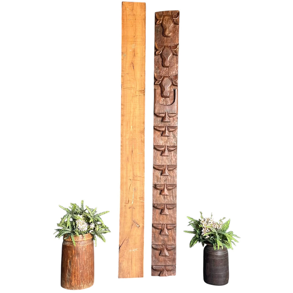 Ethnic Naga Panel