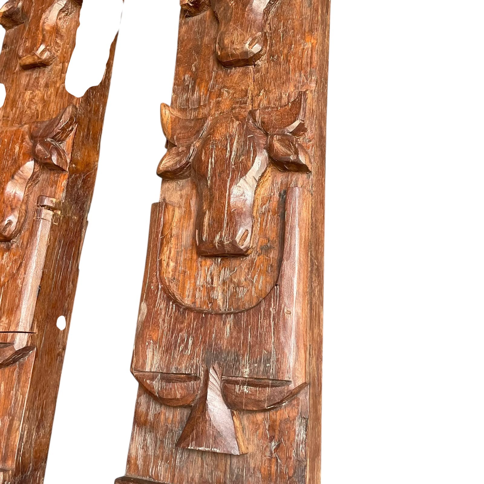 Ethnic Naga Panel