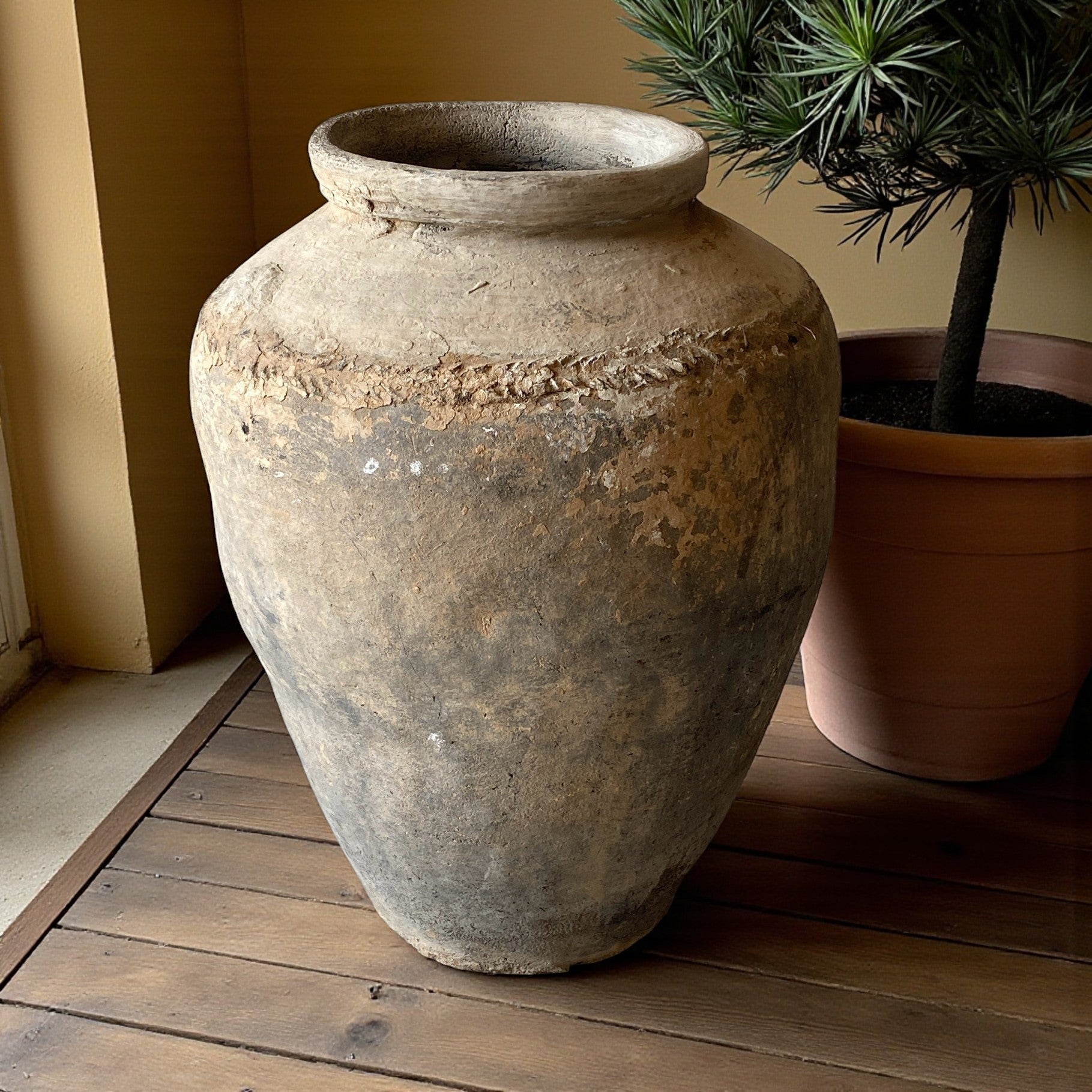TERRACOTTA POT