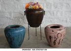 Antique Iron Pot Planter