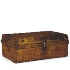 IRON TRUNK