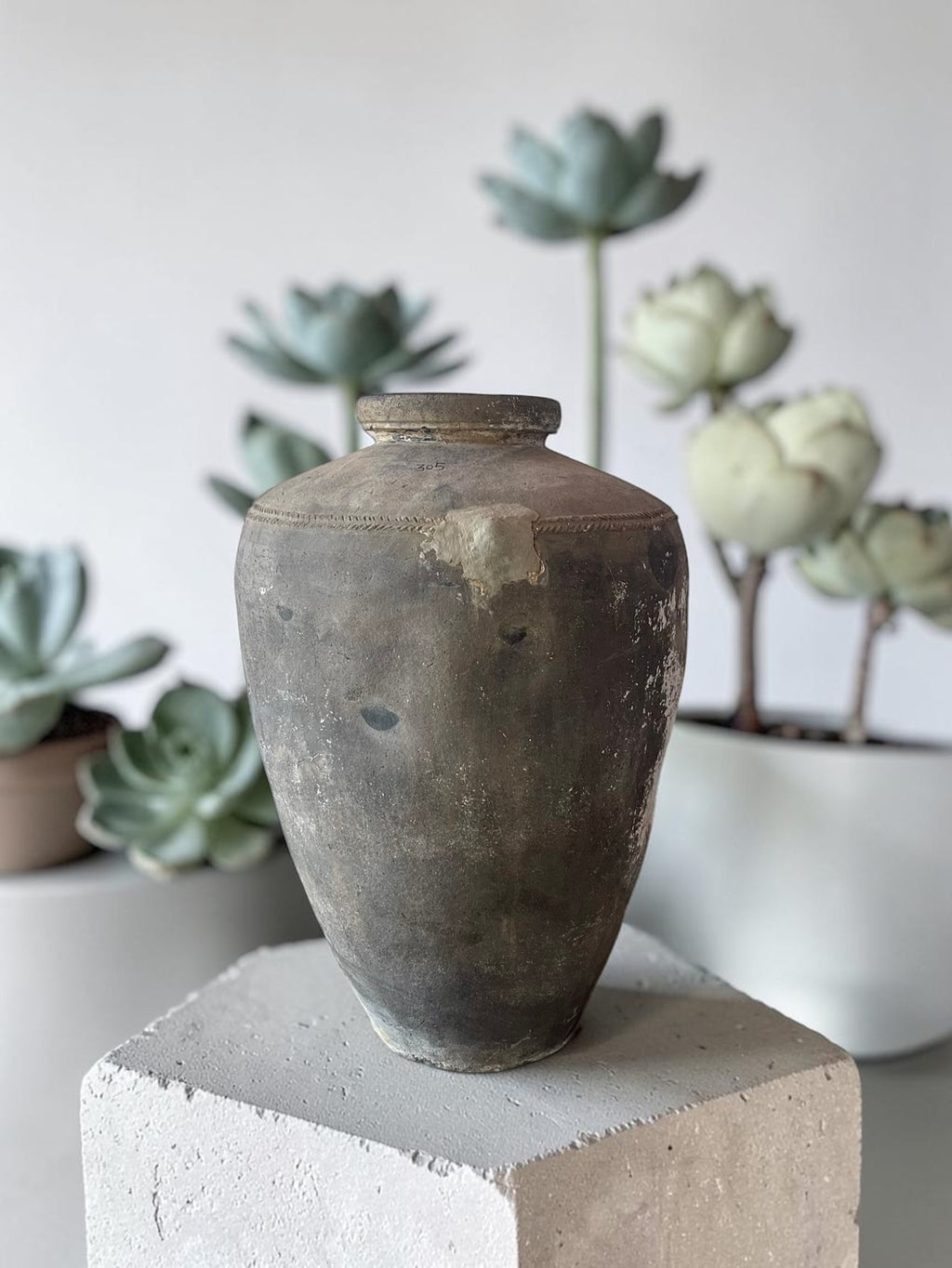 Handcrafted Terracotta Pots