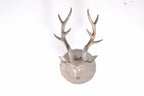 Brass Forest Stag