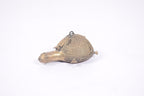 Golden Shell Relic