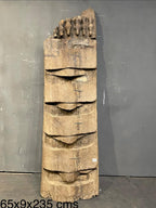 Naga Tribal Legacy