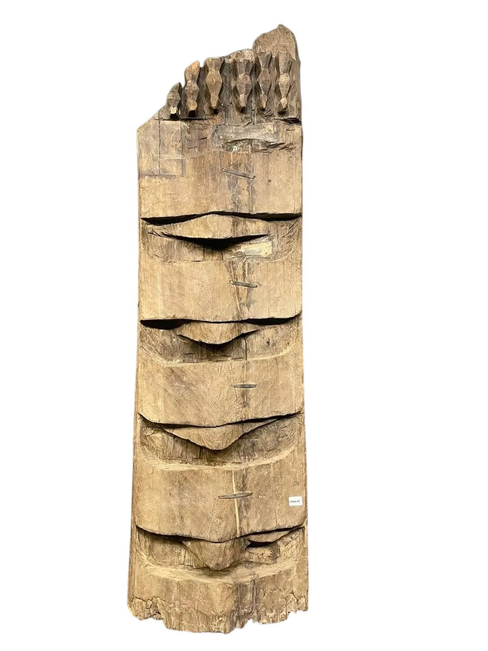 Naga Tribal Legacy