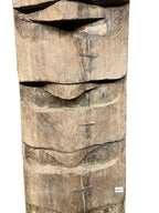 Naga Tribal Legacy