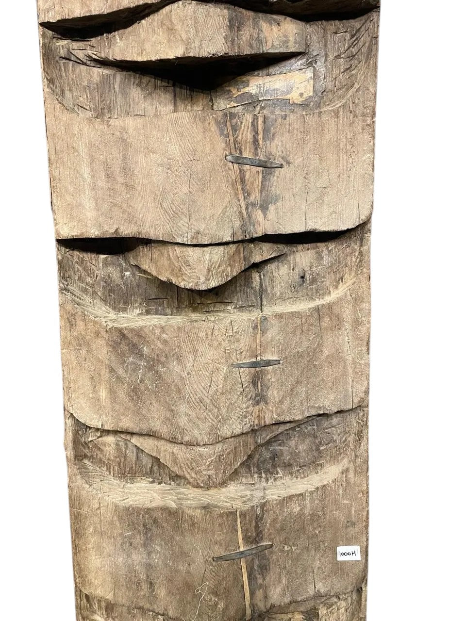 Naga Tribal Legacy